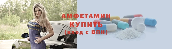мет Алексин