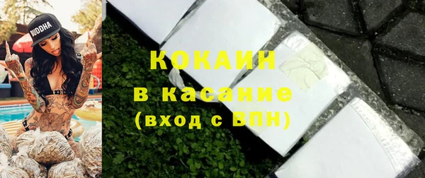 твердый Алзамай