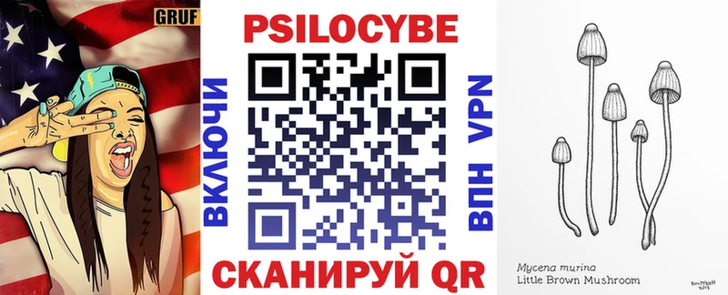 Псилоцибиновые грибы мицелий Минусинск